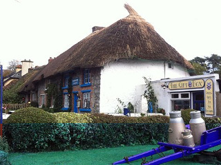 Berkeley Lodge Limerick Exterior foto